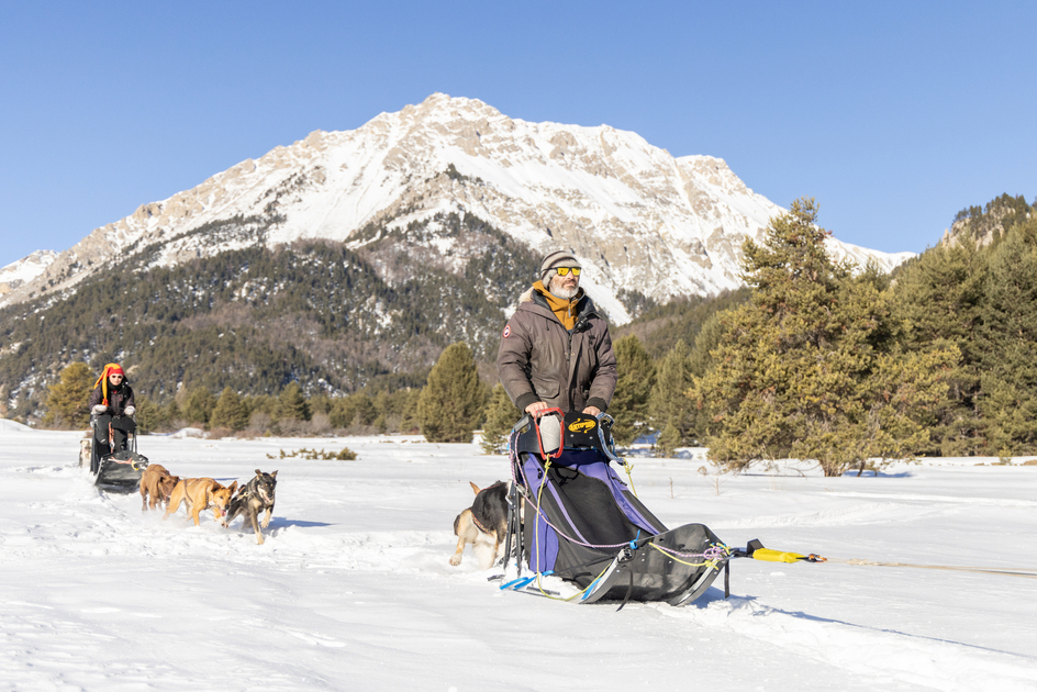 © Conduite attelage chiens de traineaux - Nevache - Thibaut Blais