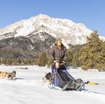 © Conduite attelage chiens de traineaux - Nevache - Thibaut Blais