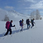 © rando raquettes - Terres de Trek