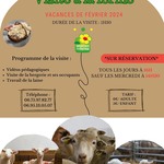 © Affiche Visite à la ferme - vacances de février - La maison des bêtes à laine