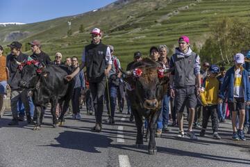 © montée des vaches-Villar d'Arène - Pat DOMEYNE