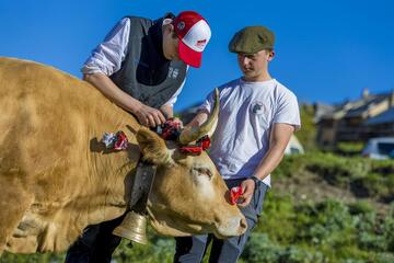 © ornement des jeunes-Villar d'arène - Pat DOMEYNE