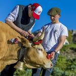 © ornement des jeunes-Villar d'arène - Pat DOMEYNE