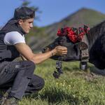 © instant calin dans les champs-Villar d'Arène - Pat DOMEYNE