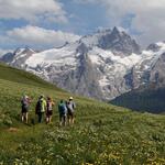 © Le sommet du Pic du Mas de La Grave - Cyril Coursier - Parc national des Ecrins