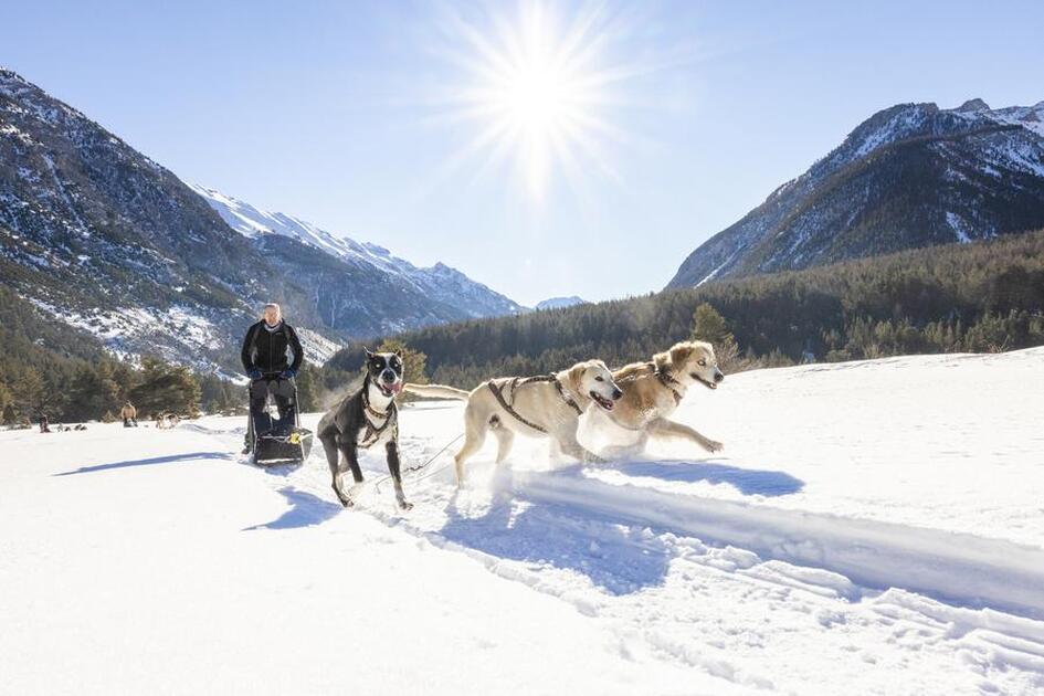 © Chiens de traîneau - Vallée de la Clarée - Thibaut Blais