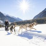 © Chiens de traîneau - Vallée de la Clarée - Thibaut Blais