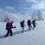 © Raquettes en Clarée - Terres de Trek