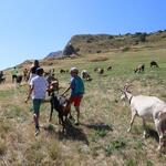 © Visite de la Ferme des Molières_La Grave - S. Morattel