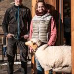 © Ferme pédagogique La Maison des Bêtes à laine_Cervières - Fabien Dupuis