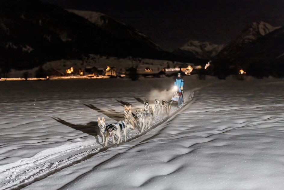 © Chiens de traineau - L'Empreinte nordique - Thibaut Blais