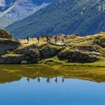 © Lac Noir et lac Lérié depuis le Chazelet - Bertrand Bodin © Parc national des Ecrins