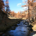 © Hautes Alpes pêche Clarée - ©AAPPMA