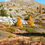 © Lac des Sarailles en Automne - Cervières - Fabien Dupuis