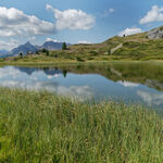 © Lac des Sarailles - Ducroux Michel