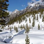 © Piste des Oules - Cervières - MDucroux