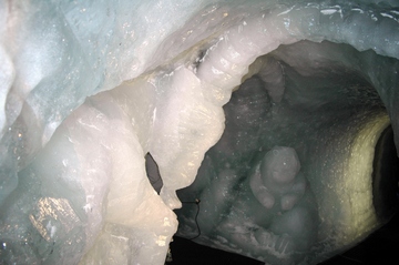 © Bouquetin Grotte de glace La Grave - OTHV
