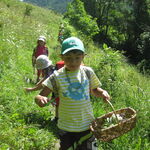 © Ateliers Nature pour les 3 - 6 ans - La Grave - @O.MartinCocher