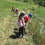 © Ateliers Nature pour les 3 - 6 ans - La Grave - @O.MartinCocher