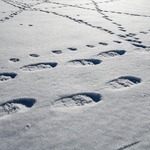 Raquette à neige à l'Aiguillon