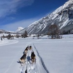 © Balade en chiens en traineau - Clarée - Val-des-Prés - Sophie QUINONES