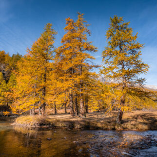 Haute Clarée Automne _ alpesphotographies.com-25