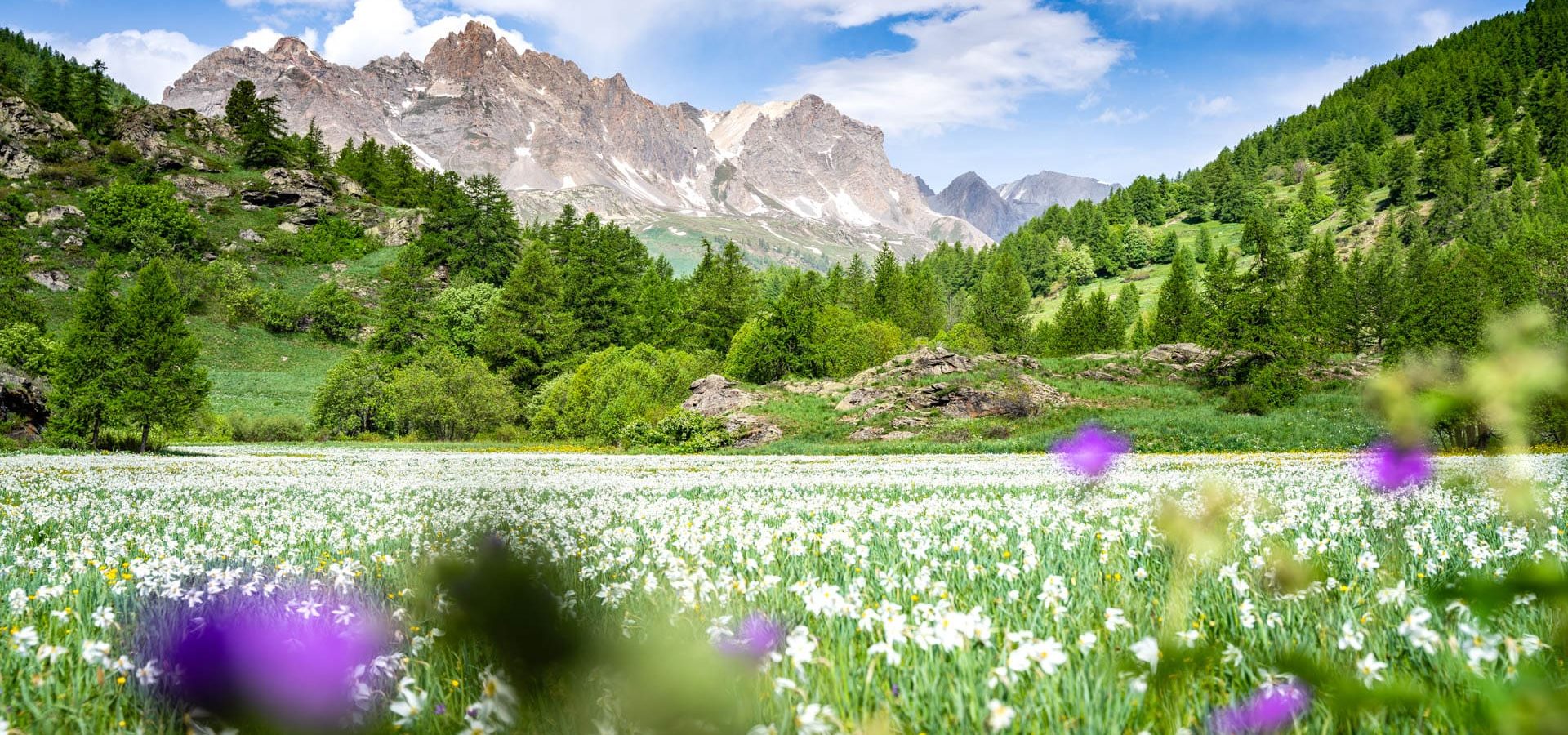 Haute Clarée au printemps - Alpes Photographies