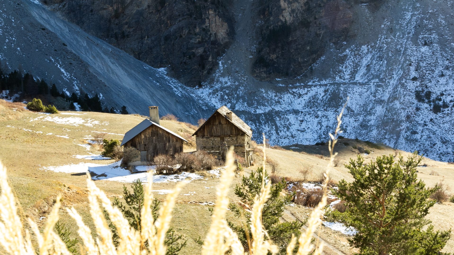 Balade l'Alpe du Pied et Lac de Saraille - Balacé A.