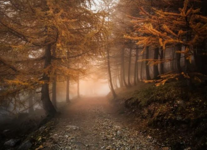 Chemin d'automne Vallée Etroite - Blais T.