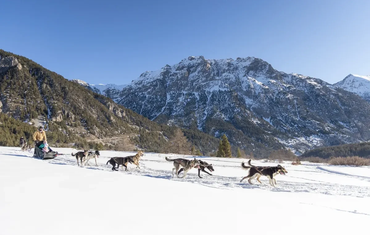 Chiens-de-traineau-Nevache-©-Thibaut-Blais