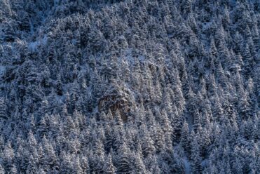 Alpes photographies - Paysage enneigé webcams