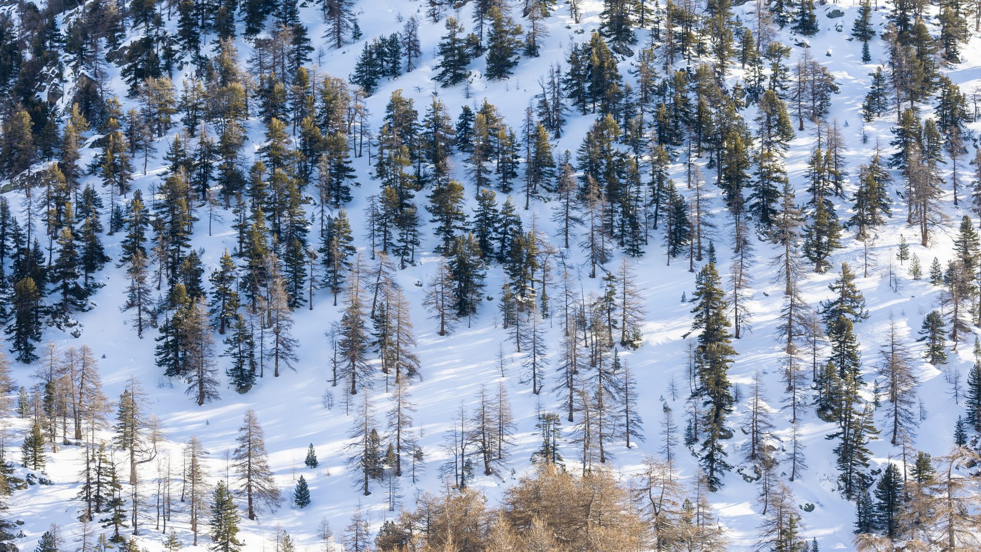 Paysage ski de rando T. Blais