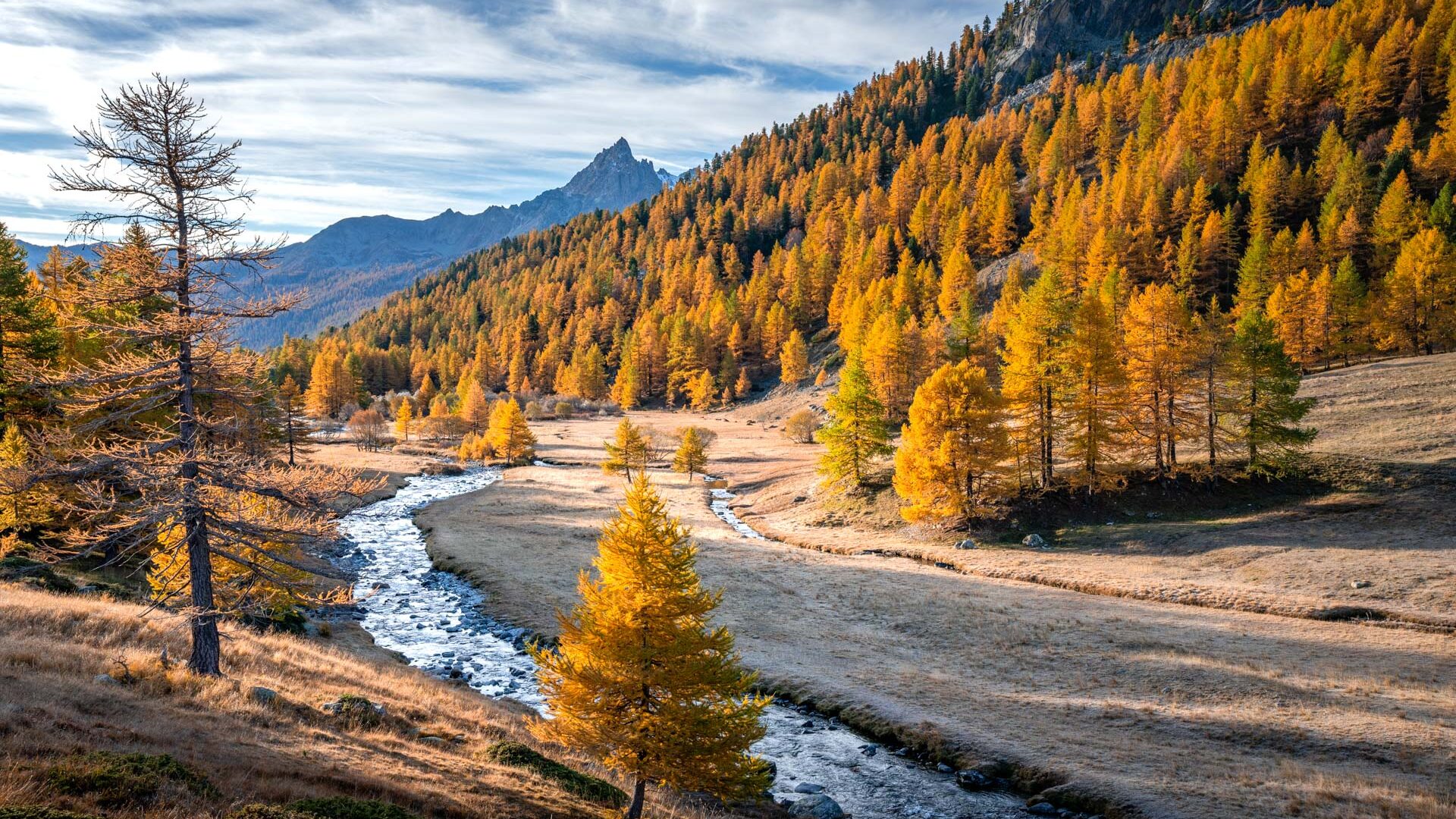 Alpes Photographies - Haute Clarée automne