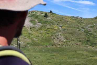 Ma vie de berger dans les Hautes Vallées