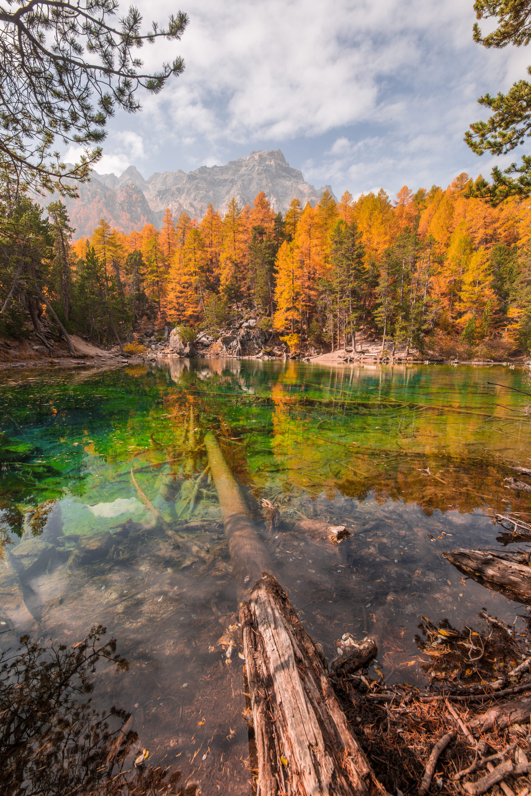 lac vert automne2