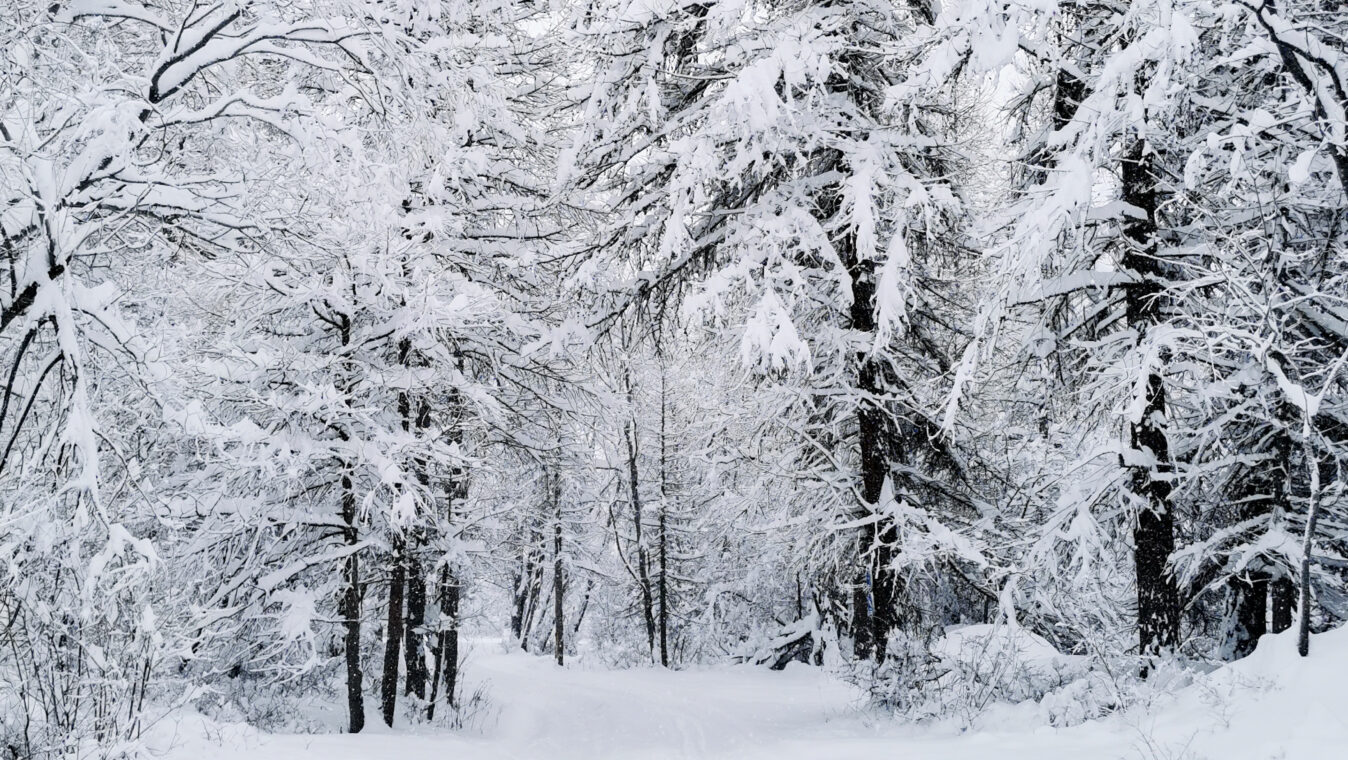 Premières Neige - Village Névache ©S.Morattel (1)