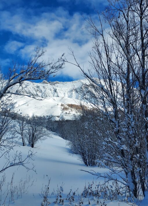 Villar d'Arene-La Grave- nordique neige Elodie Lefebvre (12)