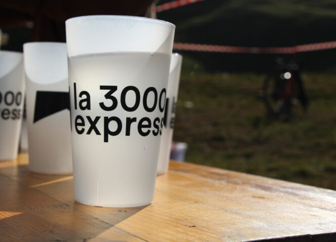 3000 Express ©M.Molinari (209)