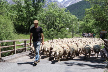 Fête de la transhumance ©L. Chamerlat