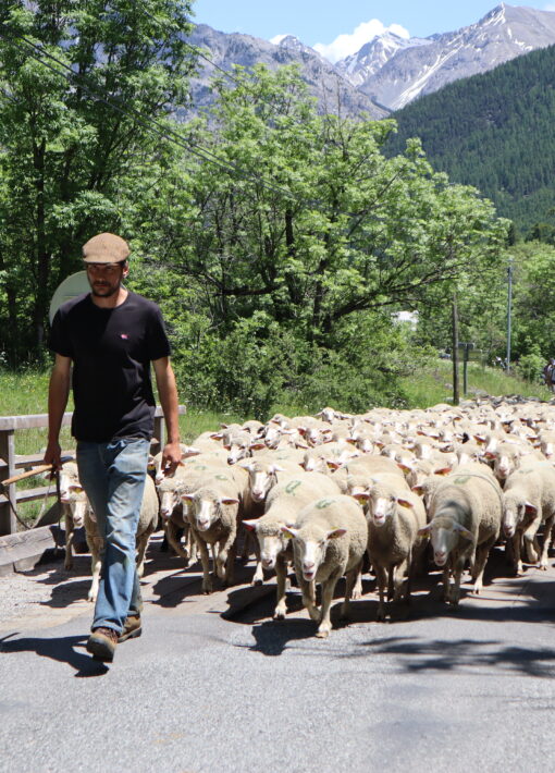 Fête de la transhumance ©L. Chamerlat