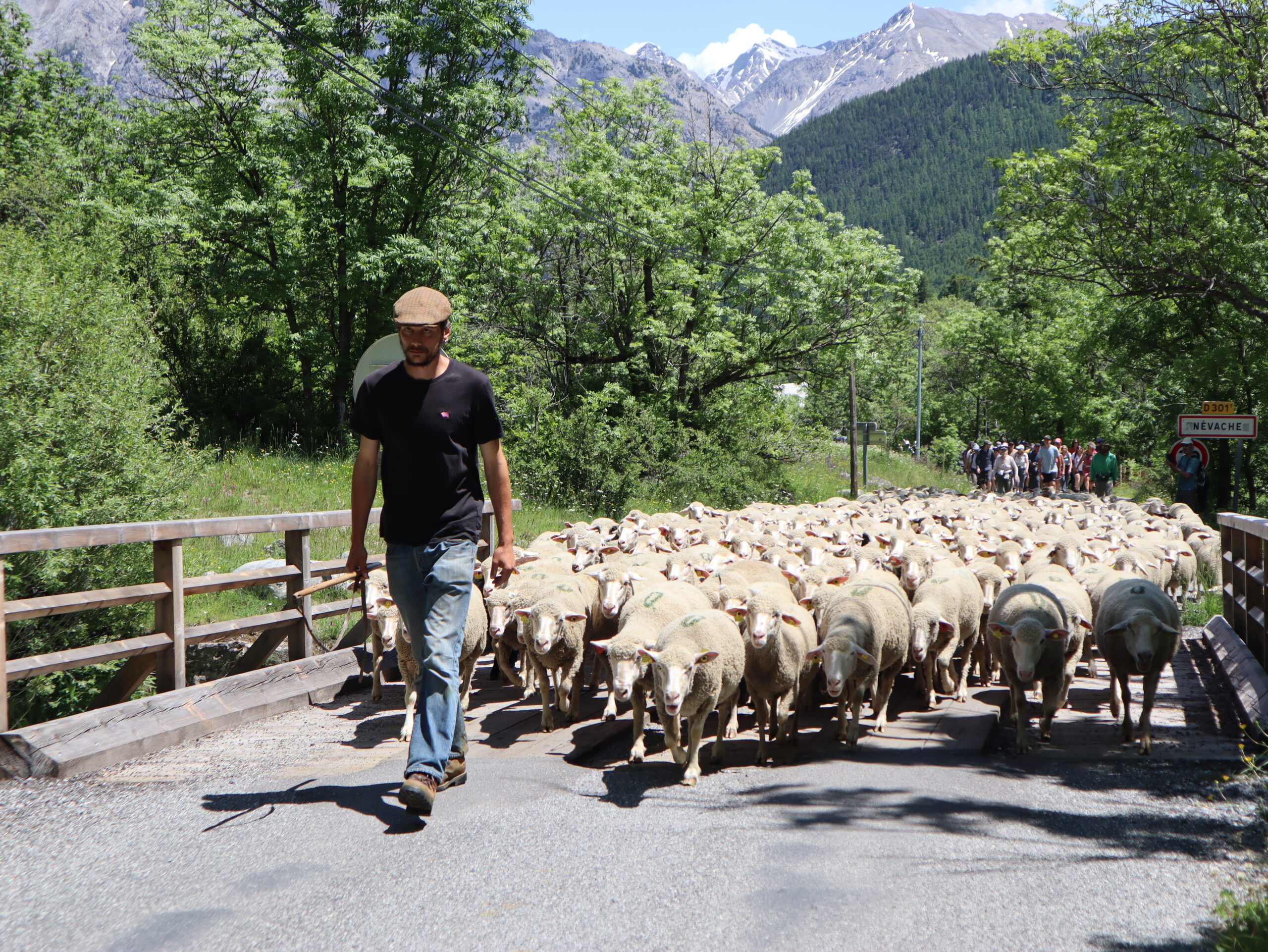 Fête de la transhumance ©L. Chamerlat