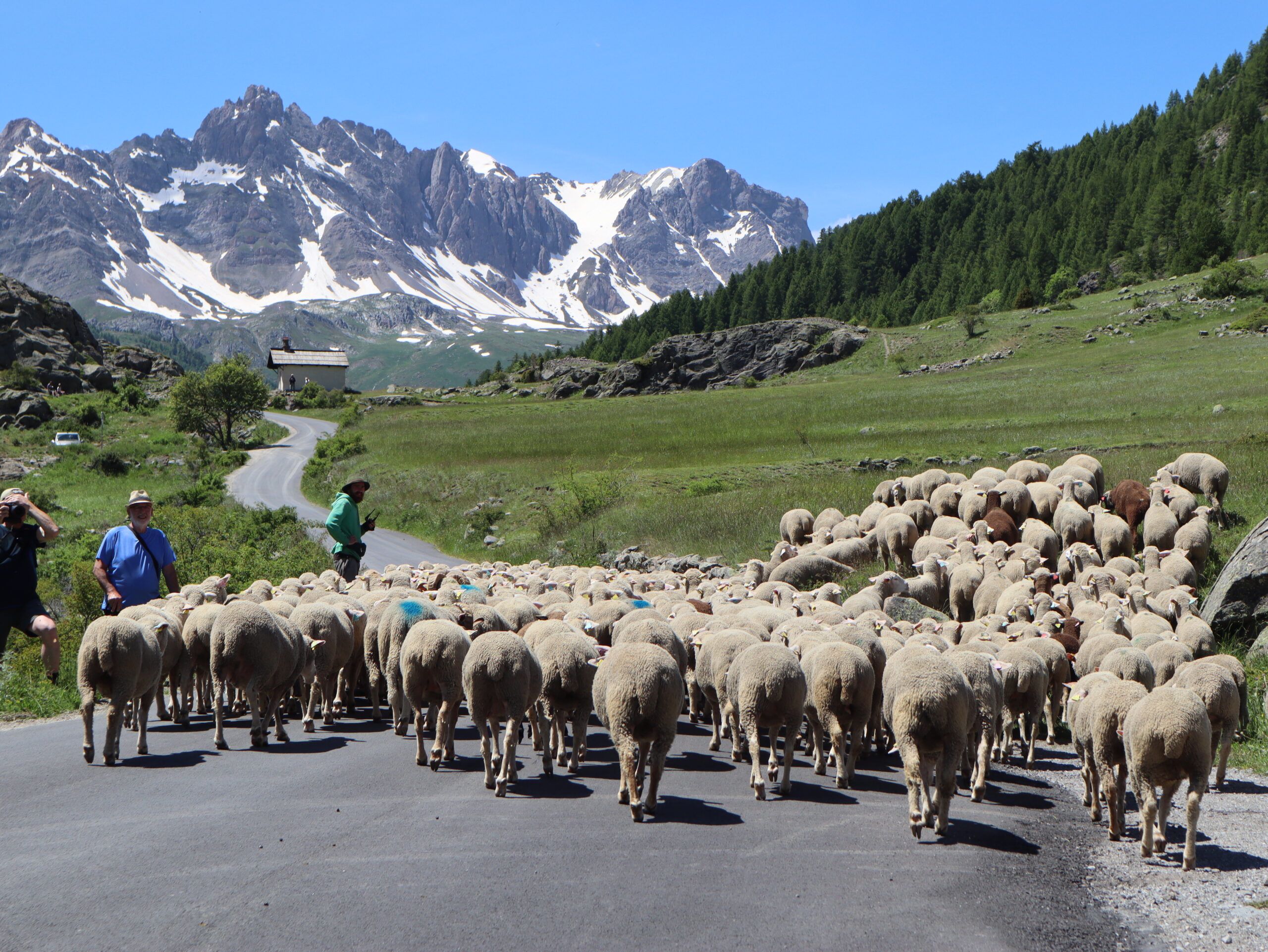 Fête de la transhumance ©L. Chamerlat