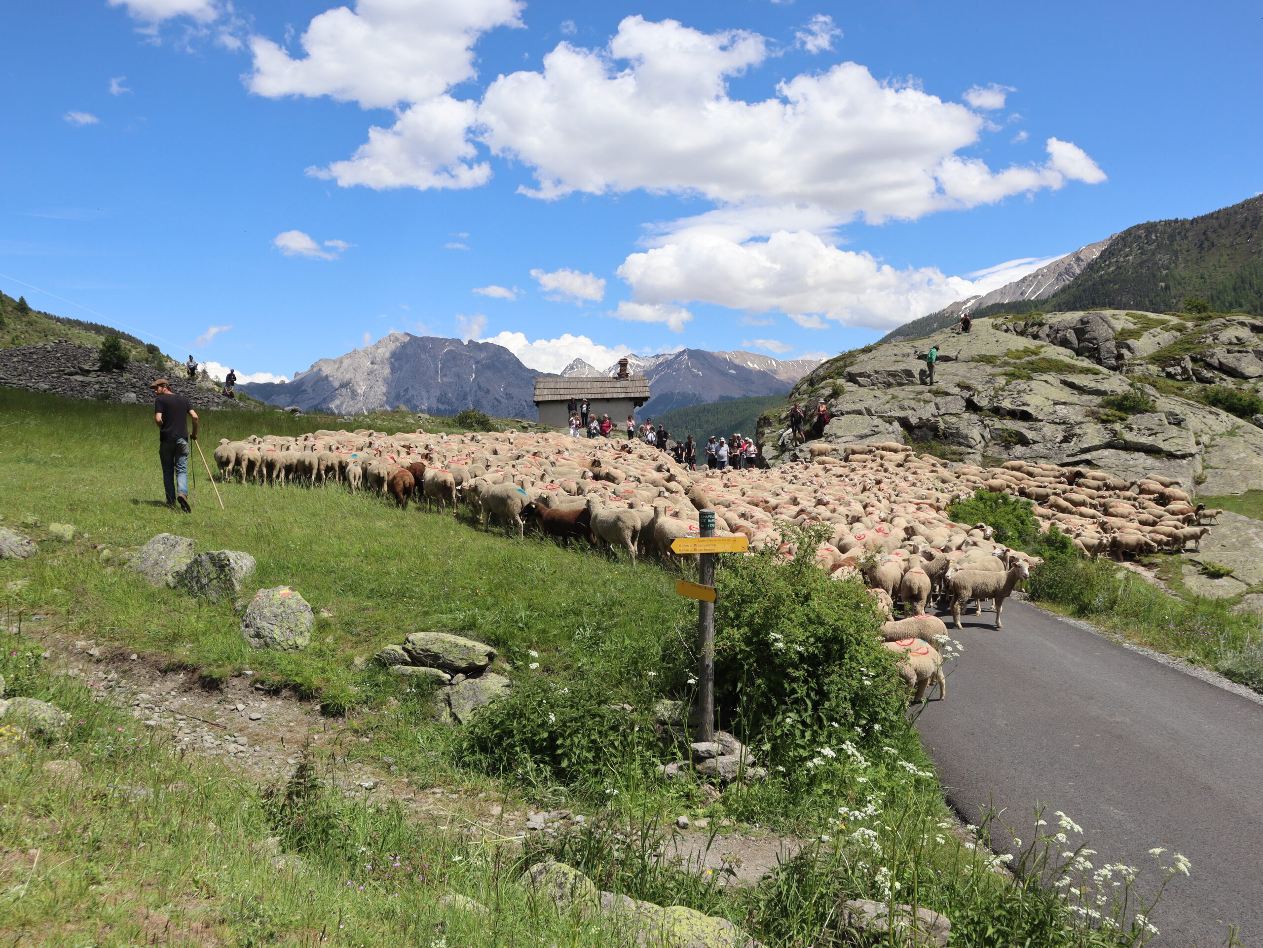 Fête de la transhumance ©L. Chamerlat